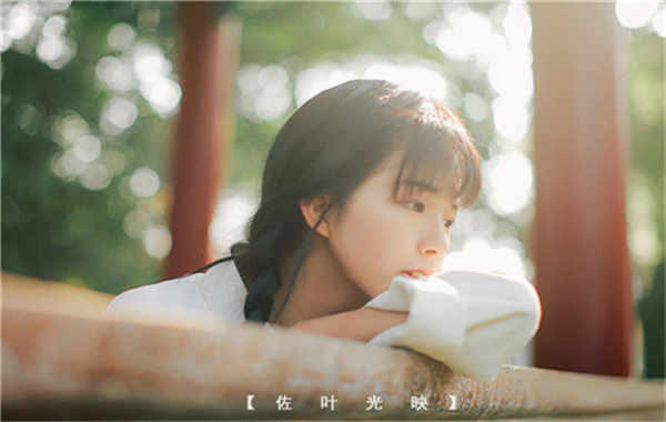 洛龙胎儿性别鉴定需要多少钱(胎儿性别鉴定的方法)